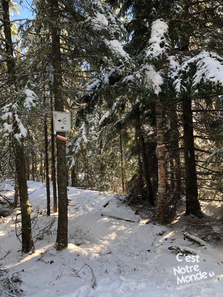 Le mont Ouareau est situé non loin du lac Ouareau proche de la ville de Notre-Dame-de-la-Merci dans la région de Lanaudière