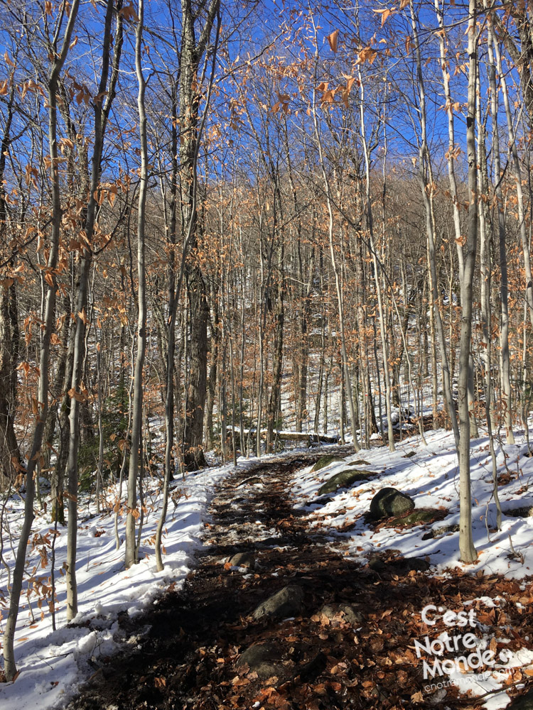 Le mont Ouareau est situé non loin du lac Ouareau proche de la ville de Notre-Dame-de-la-Merci dans la région de Lanaudière