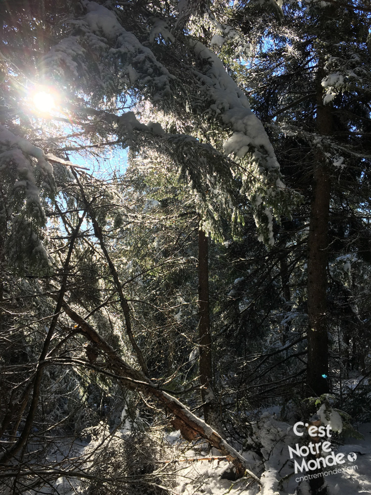 Le mont Ouareau est situé non loin du lac Ouareau proche de la ville de Notre-Dame-de-la-Merci dans la région de Lanaudière