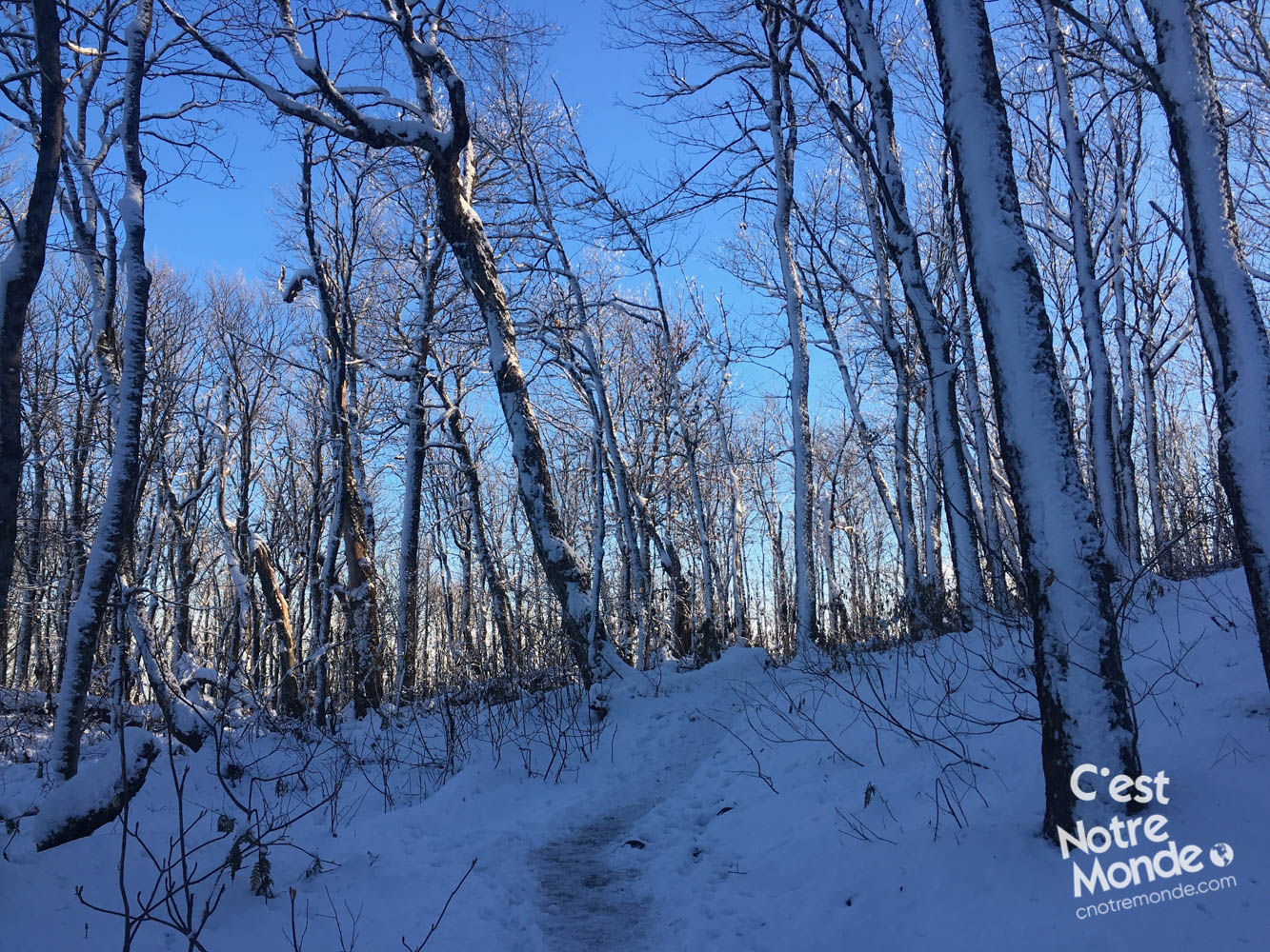 Le mont Ouareau est situé non loin du lac Ouareau proche de la ville de Notre-Dame-de-la-Merci dans la région de Lanaudière