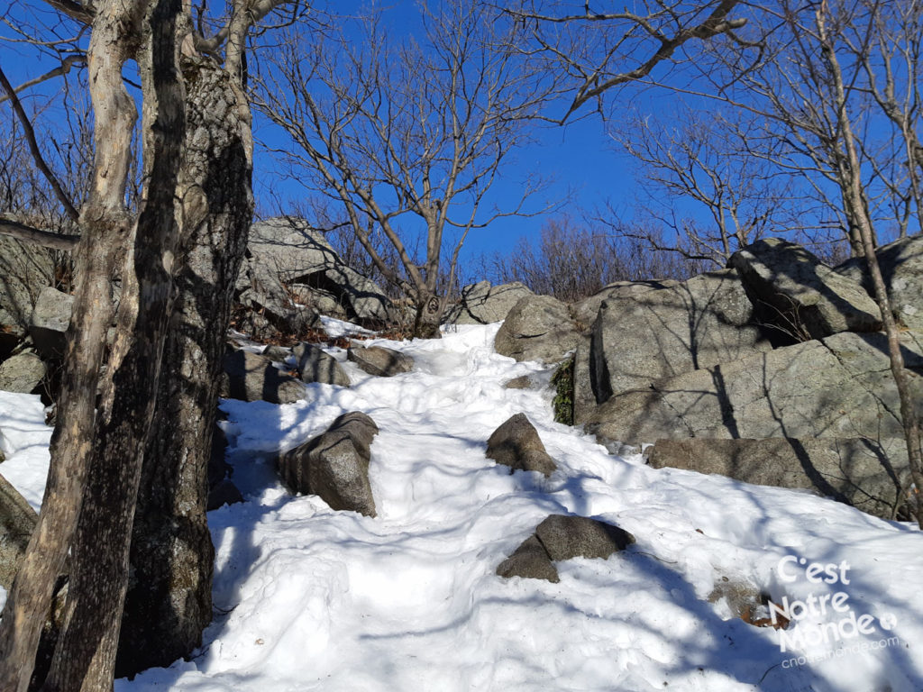 Mont SaintHilaire, randonnée aux abords de Montréal C’est Notre Monde
