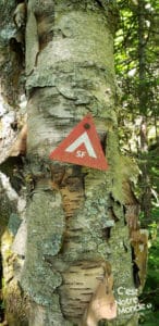 La montagne de Marbre, une randonnée nature dans les Cantons-de-l’Est