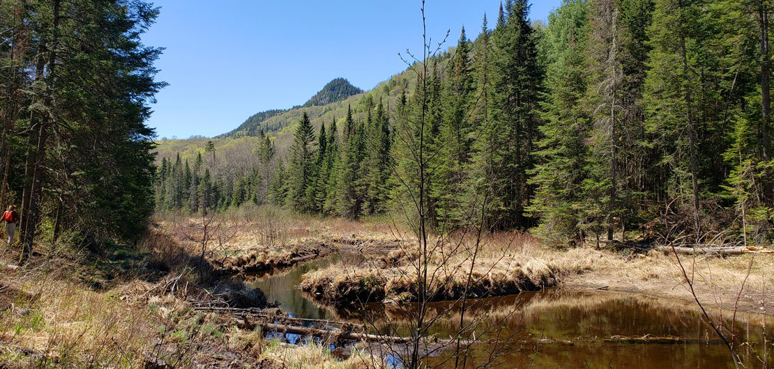 Le Mont Gorille, entre lac et sommet dans le coeur des Laurentides - C’est Notre Monde