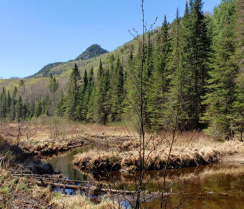 Le Mont Gorille, entre lac et sommet dans le coeur des Laurentides - C’est Notre Monde