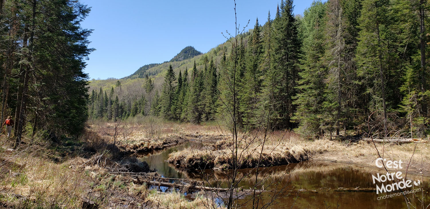 Le Mont Gorille, entre lac et sommet dans le coeur des Laurentides - C’est Notre Monde