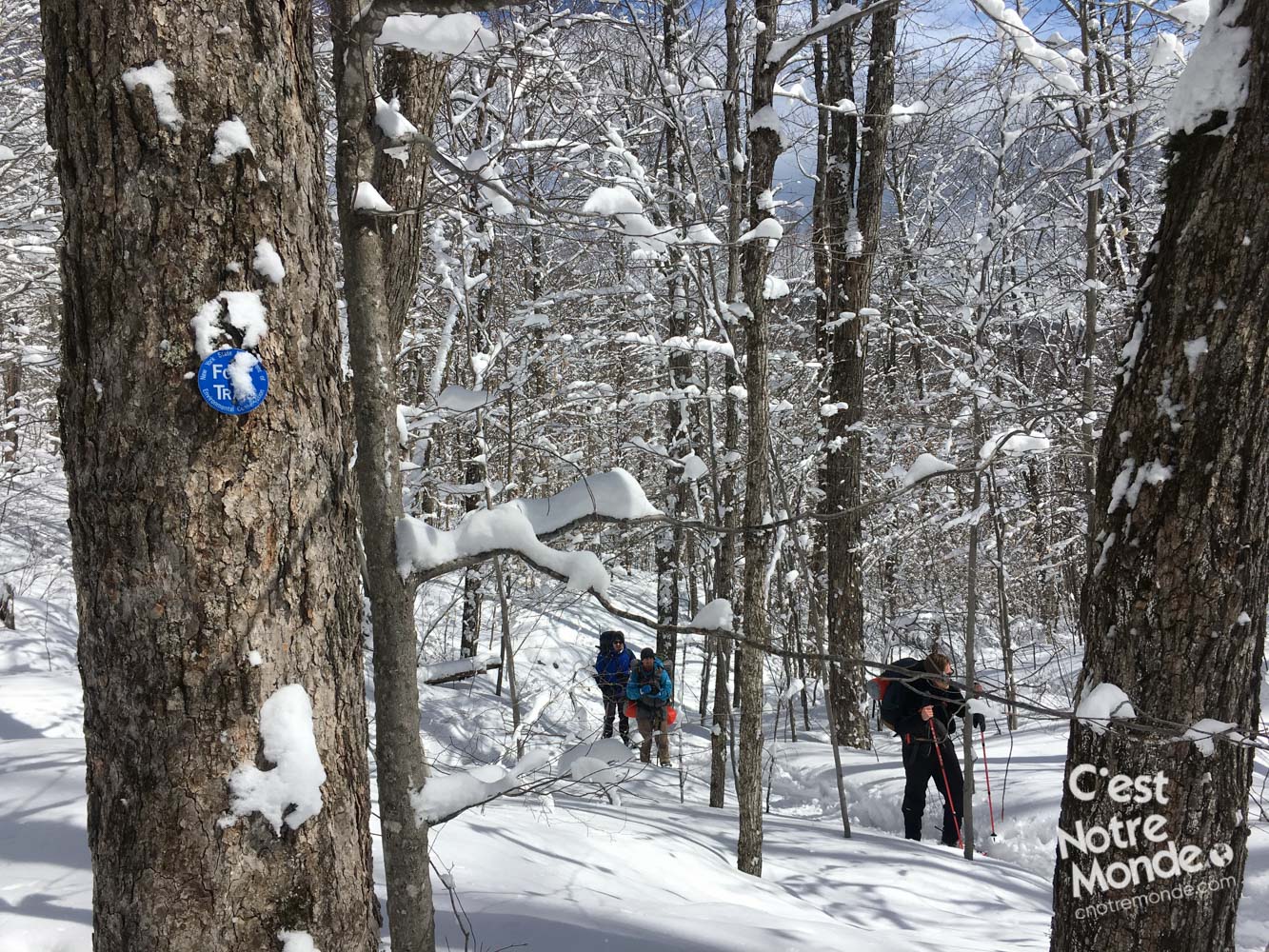 Le mont Dix, une montagne isolée dans les High Peaks, Adirondacks